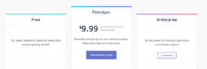 Asana pricing