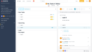 Asana screenshot