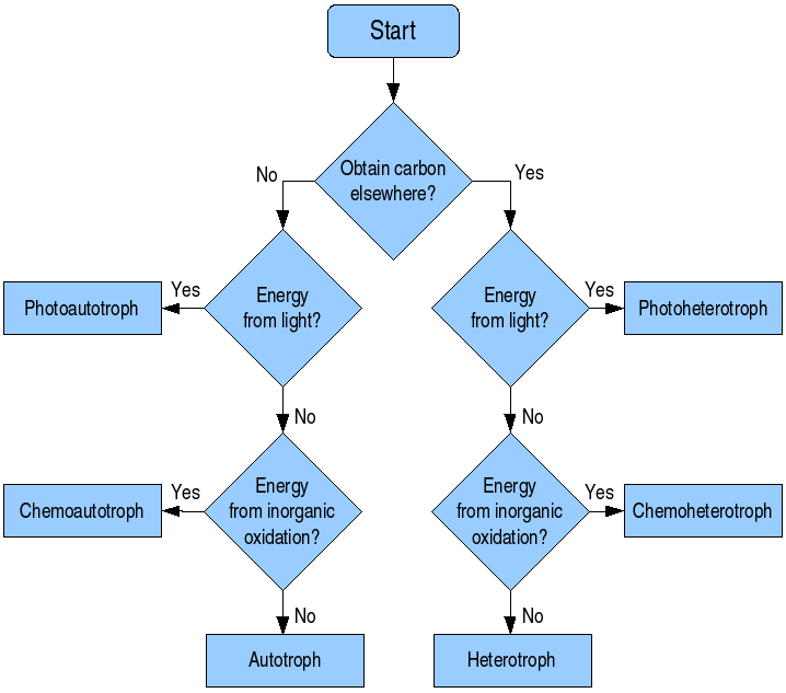 flowchart graph